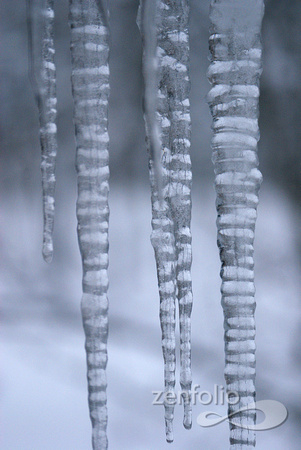 icicles 1