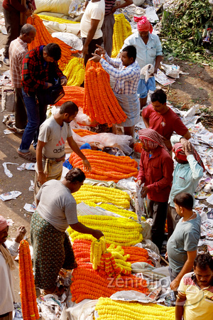 Mullick Ghat Flower Market 15
