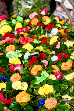 Mullick Ghat Flower Market 4