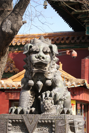 Lion in Lama Temple