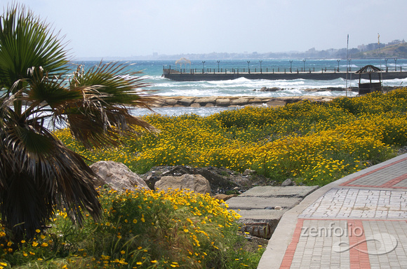sea path, Limassol