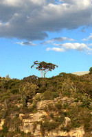 Q-station cliff