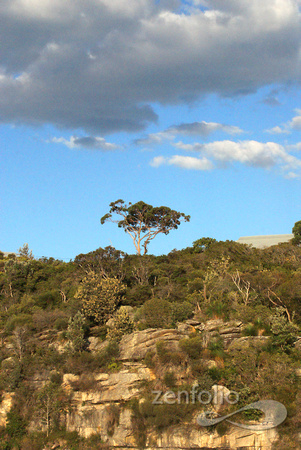 Q-station cliff