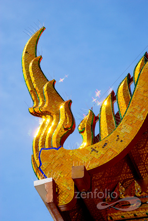 Wat Arun 17