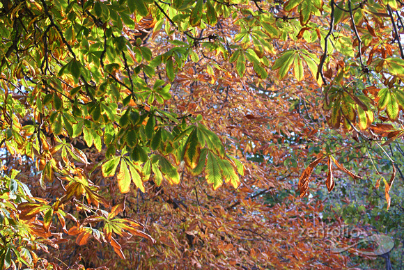 Parque del Retiro 3