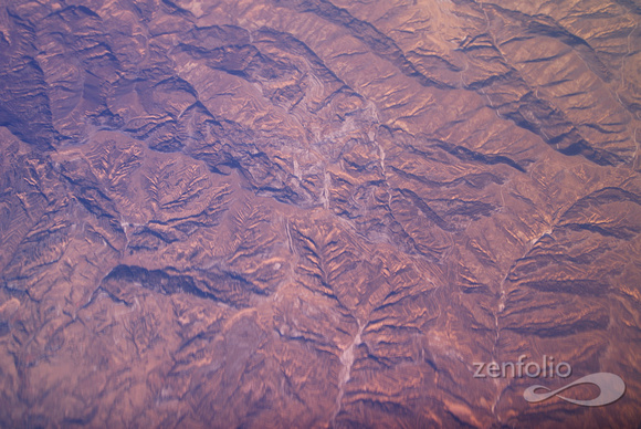 fractal mountain flora