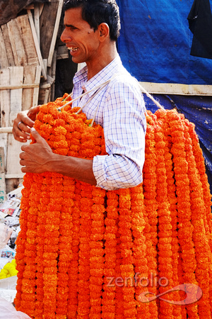 Mullick Ghat Flower Market 13