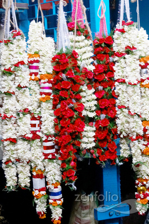 Mullick Ghat Flower Market 2