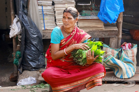 Mullick Ghat Flower Market 8