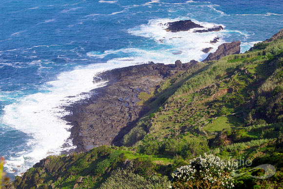 coastline 1
