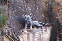 Tiger Leaping Gorge 4