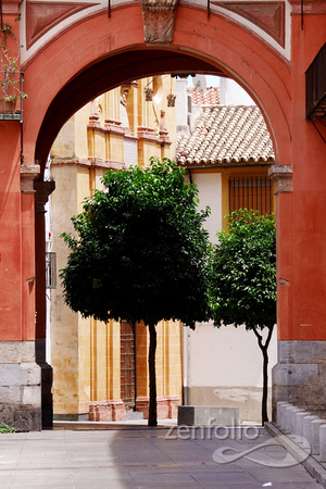 street scene 6