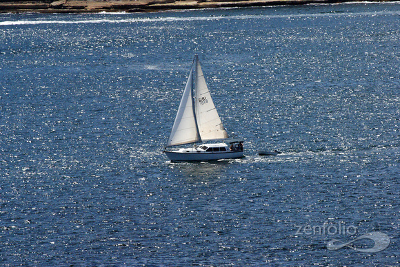 sparkling water