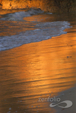 sunset on the beach 2