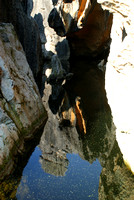 pool reflection #1, Stone Forest