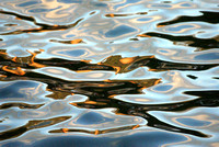 late afternoon reflection