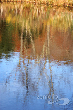 reflected shoreline 2