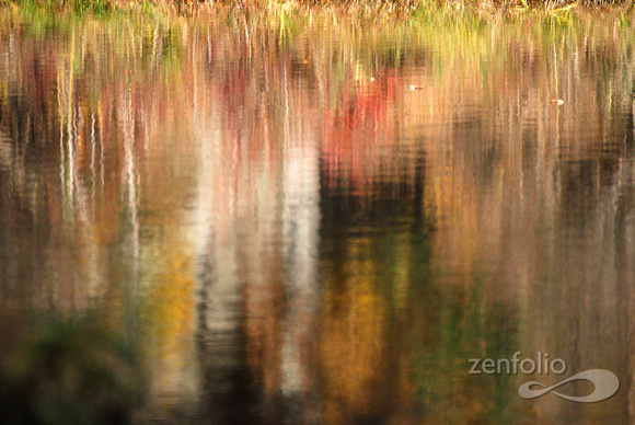 reflected shoreline 1