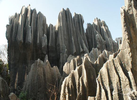 formation #3, Stone Forest