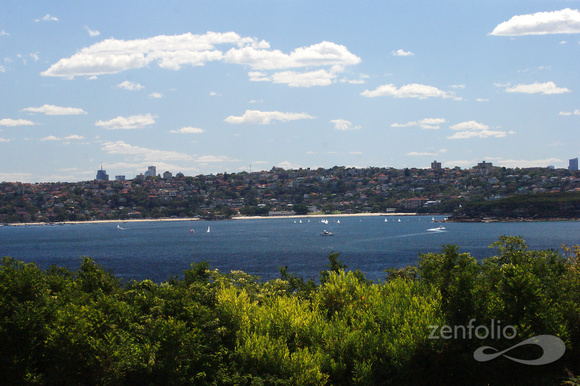 Sydney Harbor 1