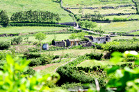 abandoned farm